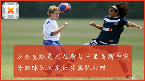 沙尔克球员尤尼斯与卡里乌斯冲突升级球队决定让其离队处理