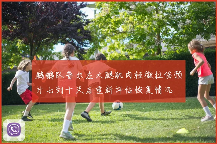 鹈鹕队普尔左大腿肌肉轻微拉伤预计七到十天后重新评估恢复情况