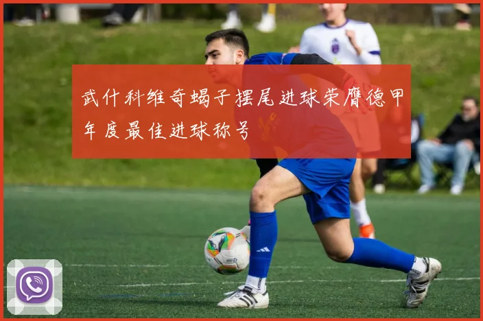 武什科维奇蝎子摆尾进球荣膺德甲年度最佳进球称号